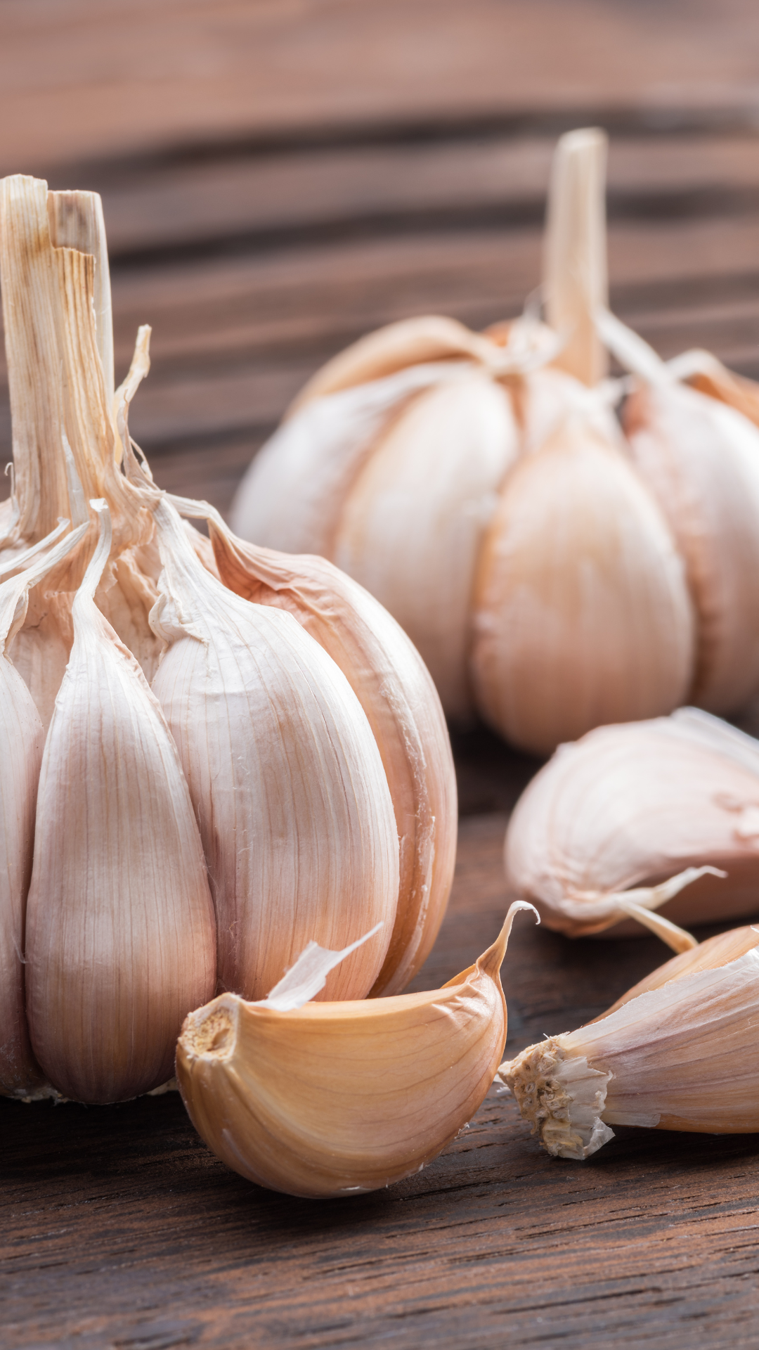 garlic
