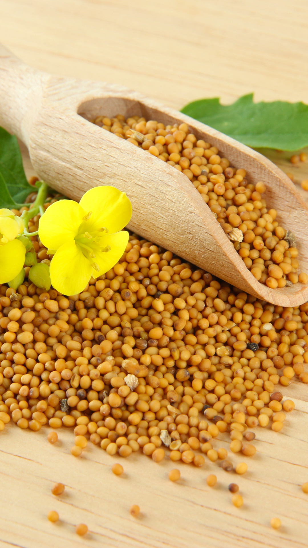 mustard seeds