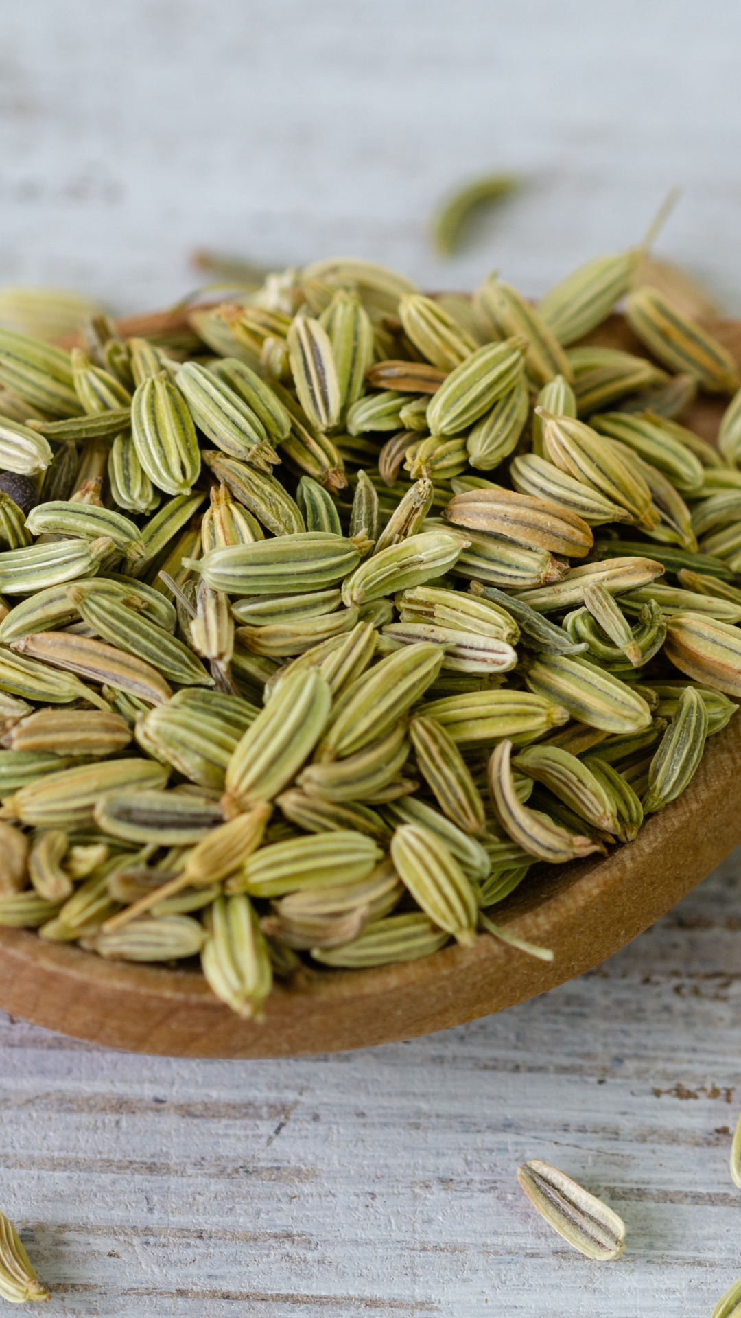 fennel