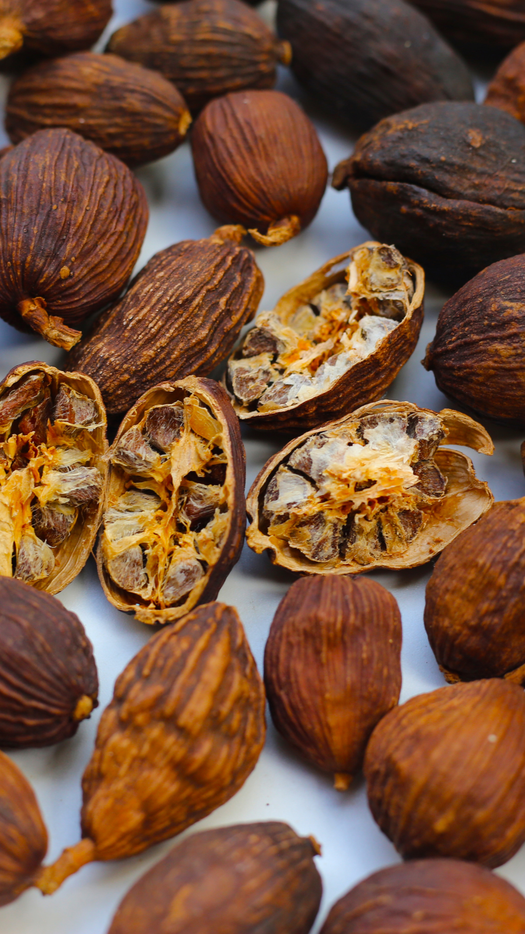 black cardamom