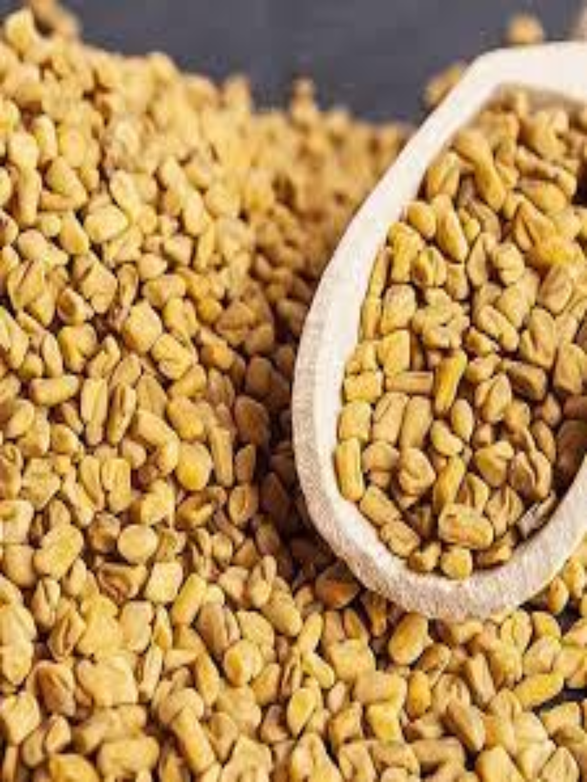 Methi