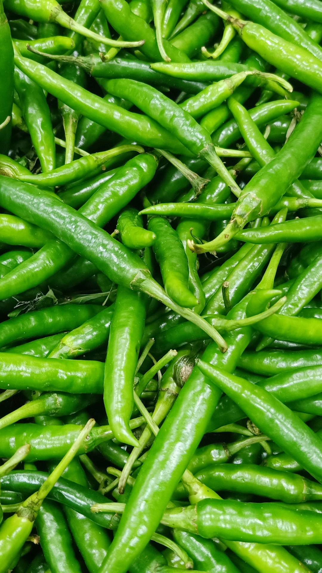 green chilli