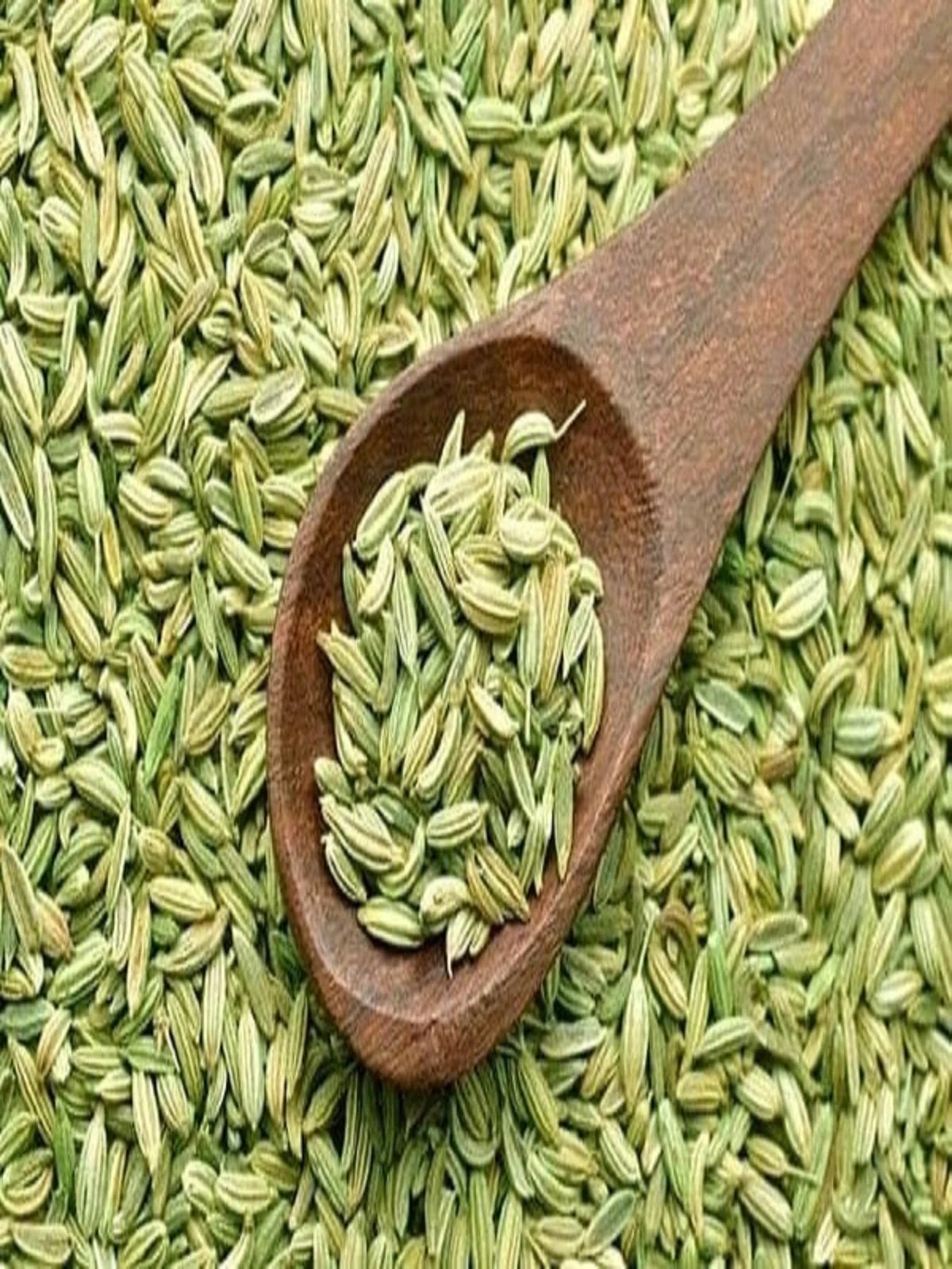 Fennel