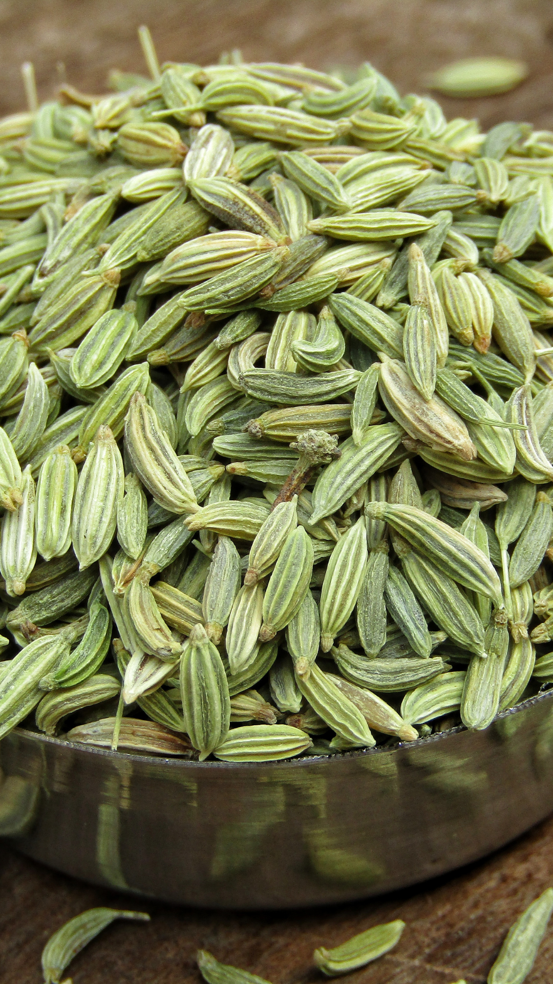 fennel